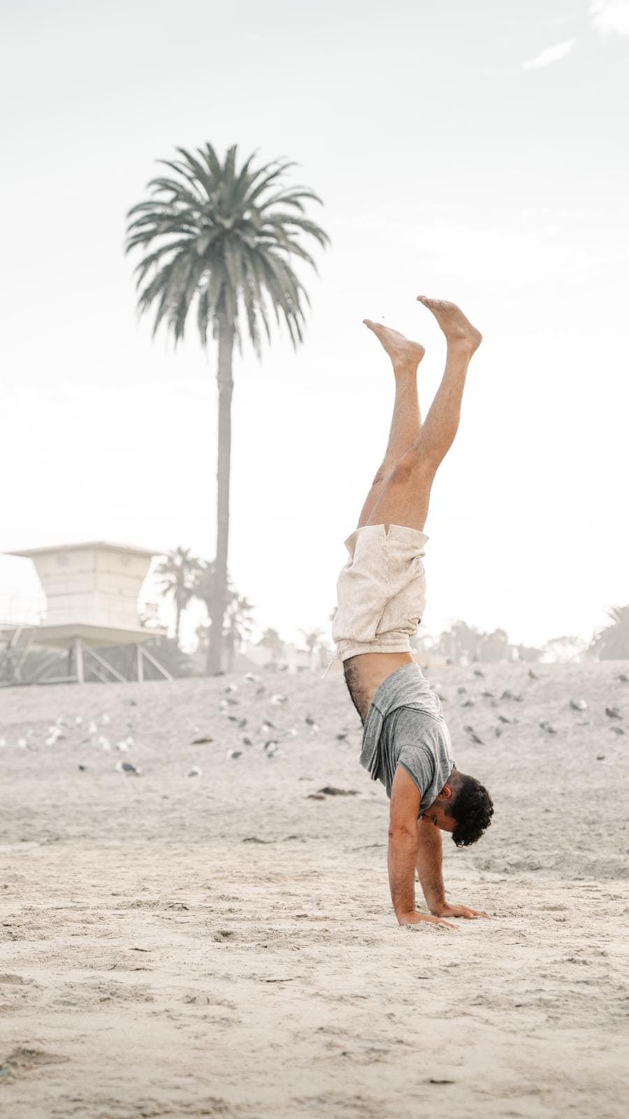 A man holding a handstand on the beach beside a palm tree