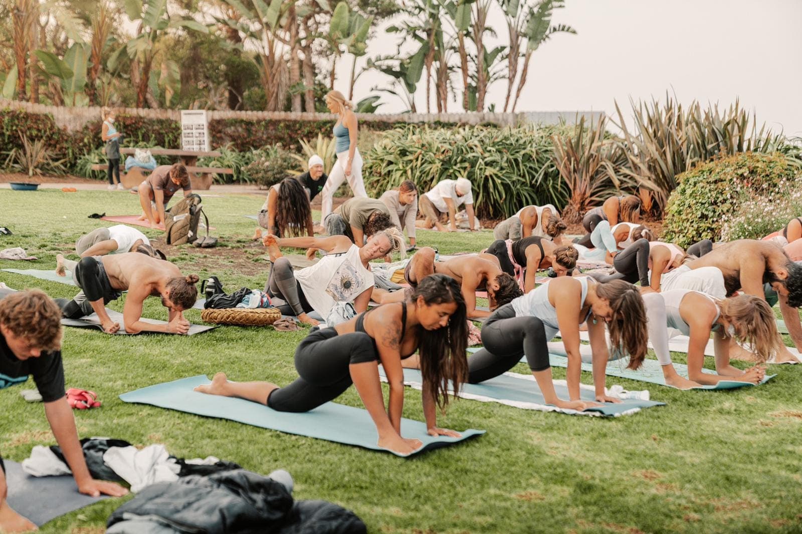 People practicing yoga on a public lawn in the morning
